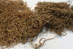 filet ; pelote ; fragment, image 2/2
