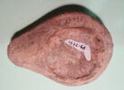 lampe, image 3/5