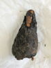 pseudo-momie, image 7/7