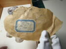 plastron de momie ; fragment, image 2/3