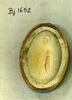 intaille, image 3/3