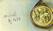 intaille, image 3/3