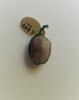 intaille, image 1/3