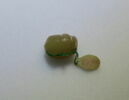 intaille, image 2/3