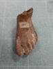 figurine ; fragment, image 2/3