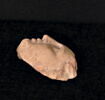 figurine ; fragment, image 2/3