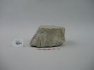 statue ; fragment, image 1/4