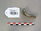 bracelet ; fragment, image 1/2