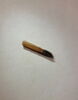 godet de scribe, image 4/4