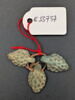 perle, image 1/2