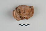bouchon de jarre en calotte  ; empreinte de sceau, image 2/2