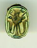 scarabée, image 1/2