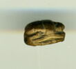 scarabée détaillé, image 3/3