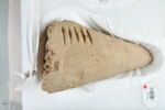 bouchon de jarre, image 2/4