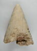 bouchon de jarre, image 3/4