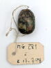 scarabée, image 2/2