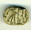 scarabée à pattes hypertrophiées, image 1/2