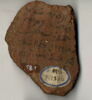 ostracon, image 2/2
