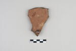ostracon, image 3/3