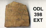 ostracon, image 3/3