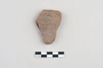 ostracon, image 1/5