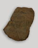 ostracon, image 3/5
