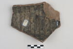 ostracon, image 2/3