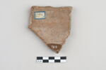 ostracon, image 2/3