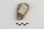 ostracon, image 2/3