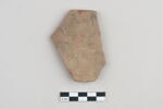 ostracon, image 1/3