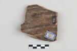 ostracon, image 2/3