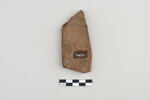 ostracon, image 4/5