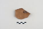 ostracon, image 2/7