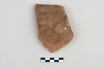 ostracon, image 1/3