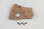 ostracon, image 2/3