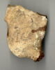 ostracon, image 2/2