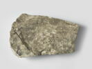 ostracon, image 1/2