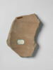 ostracon, image 2/2