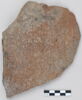 ostracon, image 1/3