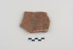 ostracon, image 1/3