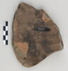 ostracon, image 2/3