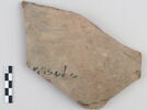 ostracon, image 1/3