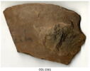 ostracon, image 3/3