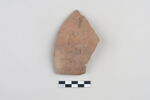 ostracon, image 1/3