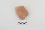 ostracon, image 1/3