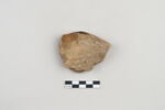 ostracon, image 2/3