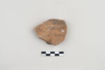 ostracon, image 1/3