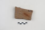 ostracon, image 2/3