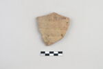 ostracon, image 1/3