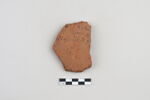 ostracon, image 1/3